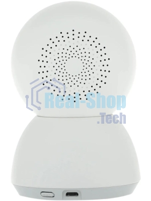 Поворотная IP-Камера Xiaomi Smart Camera C300 Dual EU