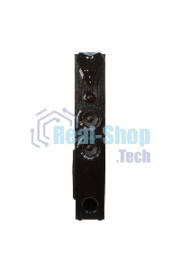 Колонка Eltronic 10