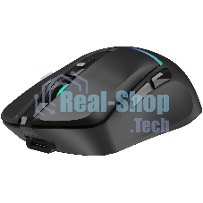 Мышь беспроводная Oklick 775GW черный, 5000 dpi, радиоканал, Bluetooth, USB, кнопки - 6