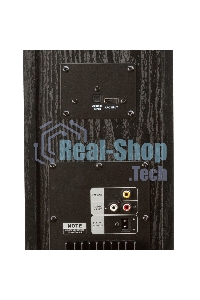 Колонка Eltronic 10