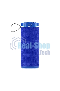 Портативная колонка SOUNDMAX SM-PS5015B синий