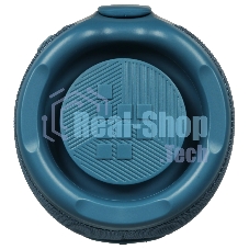 Портативная колонка Tronsmart Mirtune S100 Blue, синий