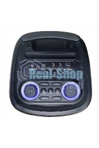 Портативная аудиосистема BQ PBS2008 черный 100 Вт