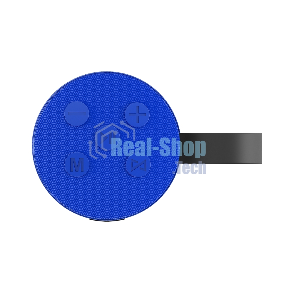 Портативная колонка SOUNDMAX SM-PS5015B синий