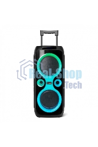 Портативная аудиосистема BQ PBS2008 черный 100 Вт