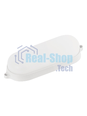 Светильник Smartbuy (SBL-BT22-65) овал 22Вт/6500K/IP65 (SBL-BT22-65)