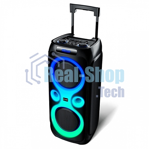 Портативная аудиосистема BQ PBS2008 черный 100 Вт