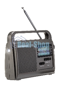 Радиоприемник SOUNDMAX SM-RD2110(темно-серый)