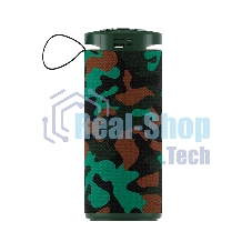 Портативная колонка SOUNDMAX SM-PS5015B хаки