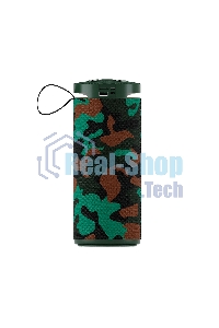 Портативная колонка SOUNDMAX SM-PS5015B хаки