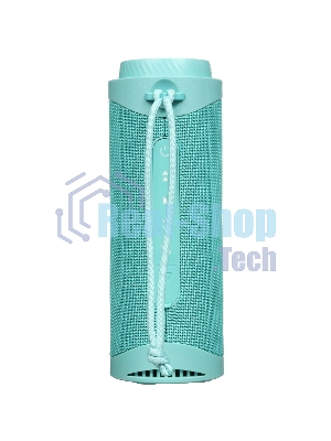 Портативная колонка 30W Tronsmart T7 Mint Green