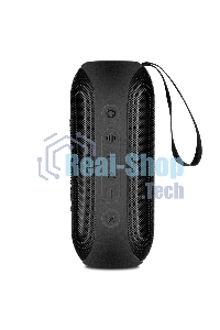 Портативная акустика Sven PS-165, черный (16 Вт, Waterproof (IPx6), TWS, Bluetooth, microSD, 3000мА*ч)