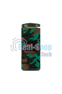 Портативная колонка SOUNDMAX SM-PS5015B хаки