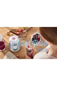 Блендер стационарный Bosch MMB2111T 450Вт серебристый