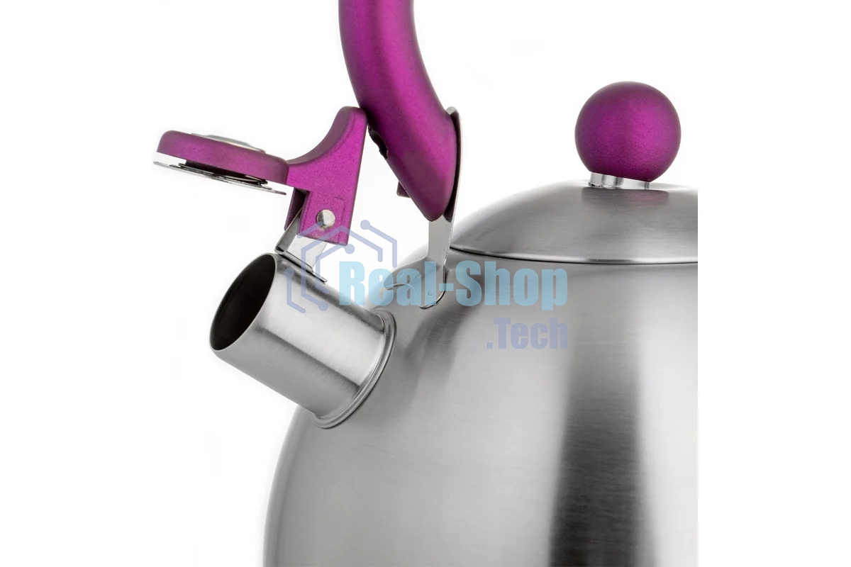 Чайник для плиты Lara LR00-62