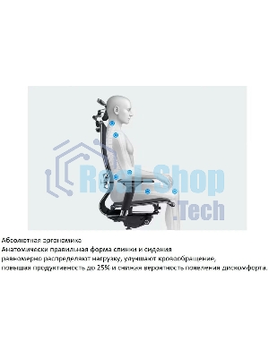 Кресло компьютерное ErgoLife Set 7/подл.131/осн.Synchro 052, черный 219.16.1.403 z316738281