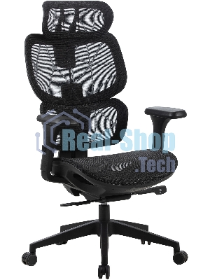 Кресло компьютерное Cactus CS-MC555-BK черный, сетка