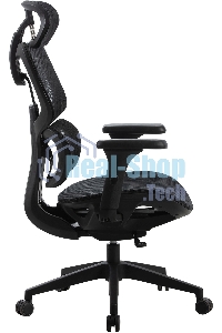 Кресло компьютерное Cactus CS-MC555-BK черный, сетка