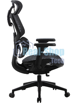 Кресло Cactus CS-MC555-BK черный, сетка, 150 кг, подголовник, регулируемые подлокотники, механизм качания