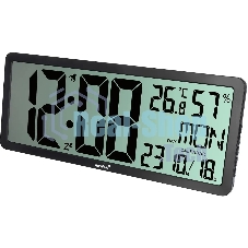 Термогигрометр Levenhuk H80 черный