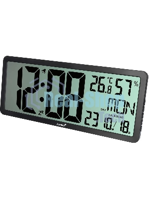 Термогигрометр Levenhuk H80 черный