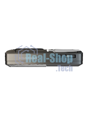 Радиоприемник SOUNDMAX SM-RD2116 черный