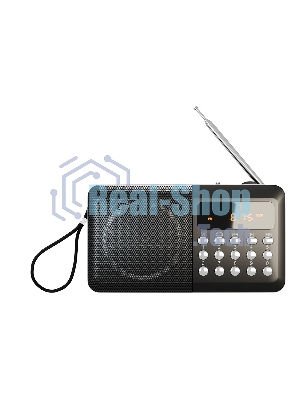 Радиоприемник SOUNDMAX SM-RD2116 черный