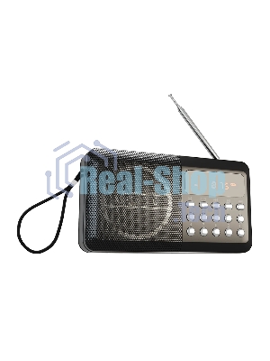 Радиоприемник SOUNDMAX SM-RD2116 черный