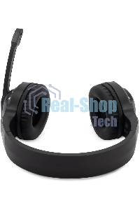 Гарнитура беспроводная/проводная с микрофоном Оклик HS-L420G черный накладные BT оголовье (1939799)