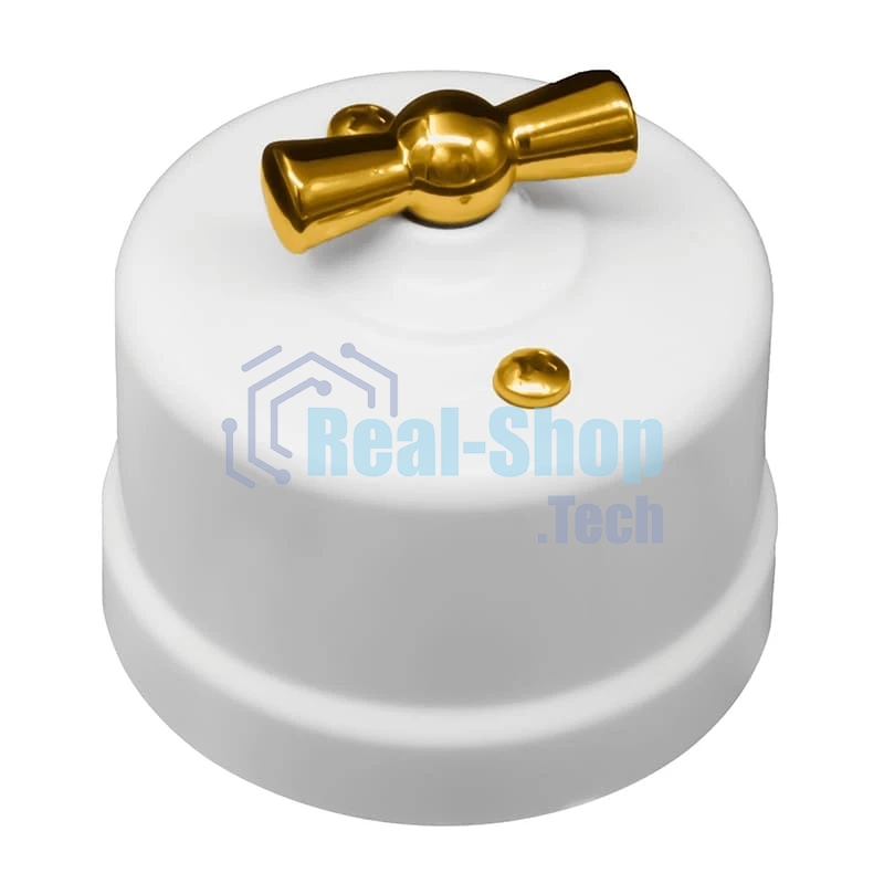 Выключатель Bironi Лизетта B1-200-21-G 1-кл., пластик, белый ручка золото