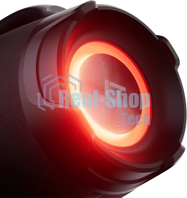 Колонка портативная Ural Урал ТТ М6+ черный/черный 110W 1.1 BT/3.5Jack/USB-C 10м 8000mAh (ФР-00003974)