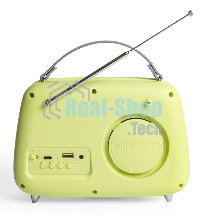 Радиоприемник СИГНАЛ БЗРП Fresh РП-343 зеленый, УКВ 87,5-108МГц, DC5В,акб,BT/USB/AUX 10125