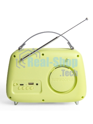 Радиоприемник СИГНАЛ БЗРП Fresh РП-343 зеленый, УКВ 87,5-108МГц, DC5В,акб,BT/USB/AUX 10125