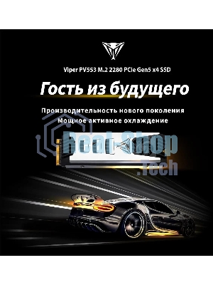Накопитель SSD Patriot Viper PV553, 1Tb, PCIe 5.0 x4, M.2 2280, NVMe, R/W 11700/9500, активное охлаждение
