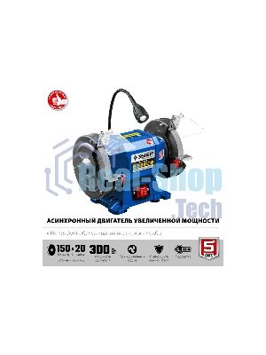 Станок заточной ЗУБР ПСТ-150 профессиональный, d150 мм, 300 Вт, ПСТ-150