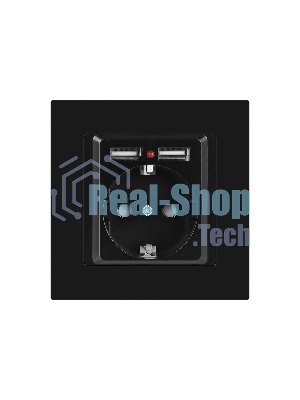 Розетка Intro Accent 6-410-05 P+E Schuko со шторками 16А-250В + 2хUSB IP20 СУ антрацит Б0063698