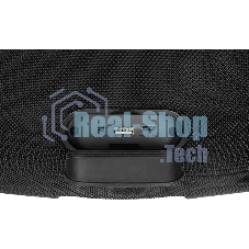 Колонка портативная Ural Урал ТТ М6+ черный/черный 110W 1.1 BT/3.5Jack/USB-C 10м 8000mAh (ФР-00003974)