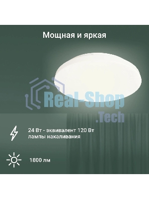 Умный светильник Digma TopLight TL25 потолоч. белый (TL25)