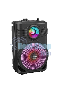 Портативная колонка с микрофоном большая HOCO BS46