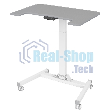 Стол для ноутбука Cactus VM-FDE101 столешница МДФ серый 80x60x123см (CS-FDE101WGY)