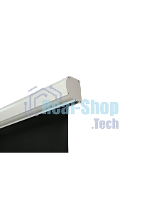 Экран с электроприводом Lumien Master Business Control 179х287 см (133