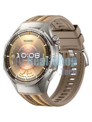 Умные часы HUAWEI Watch GT 6 Pro Brown Woven 55020FWA