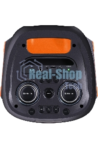 Портативная колонка Defender Orion (60Вт, BT/FM/TF/USB/MIC/Light)