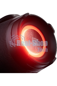 Колонка портативная Ural Урал ТТ М6+ КАРАОКЕ черный/черный 110W 1.1 BT/3.5Jack/USB-C 10м 8000mAh (ФР-00003975)