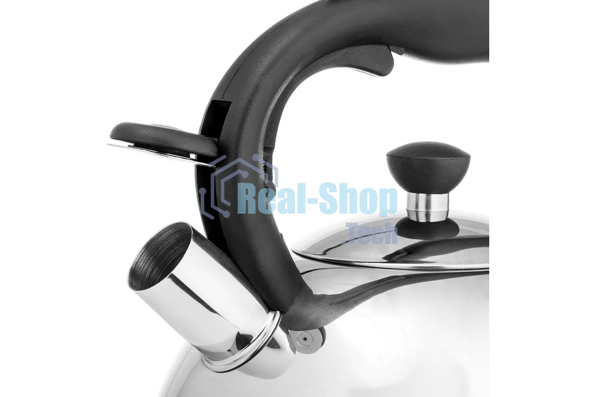 Чайник для плиты металлический Lara LR00-64, (матовый) 4 л, автоподъем крышки, индукционное капсулированное дно, нейлон. ручка