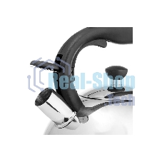 Чайник для плиты металлический Lara LR00-64, (матовый) 4 л, автоподъем крышки, индукционное капсулированное дно, нейлон. ручка