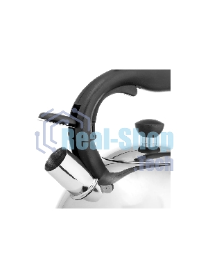 Чайник для плиты металлический Lara LR00-64, (матовый) 4 л, автоподъем крышки, индукционное капсулированное дно, нейлон. ручка