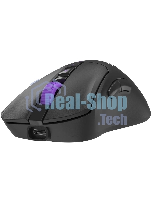 Мышь A4Tech Bloody R73 Pro черный/рисунок оптическая 26000dpi беспров. USB-C 7but (R73 PRO CYPHER GHOST)