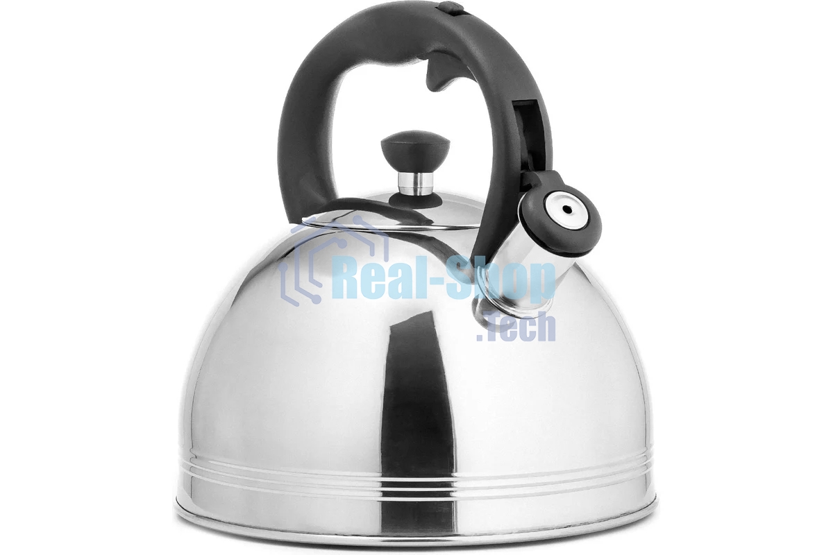 Чайник для плиты металлический Lara LR00-64, (матовый) 4 л, автоподъем крышки, индукционное капсулированное дно, нейлон. ручка