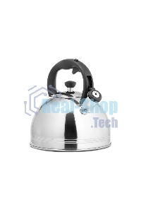 Чайник для плиты металлический Lara LR00-64, (матовый) 4 л, автоподъем крышки, индукционное капсулированное дно, нейлон. ручка